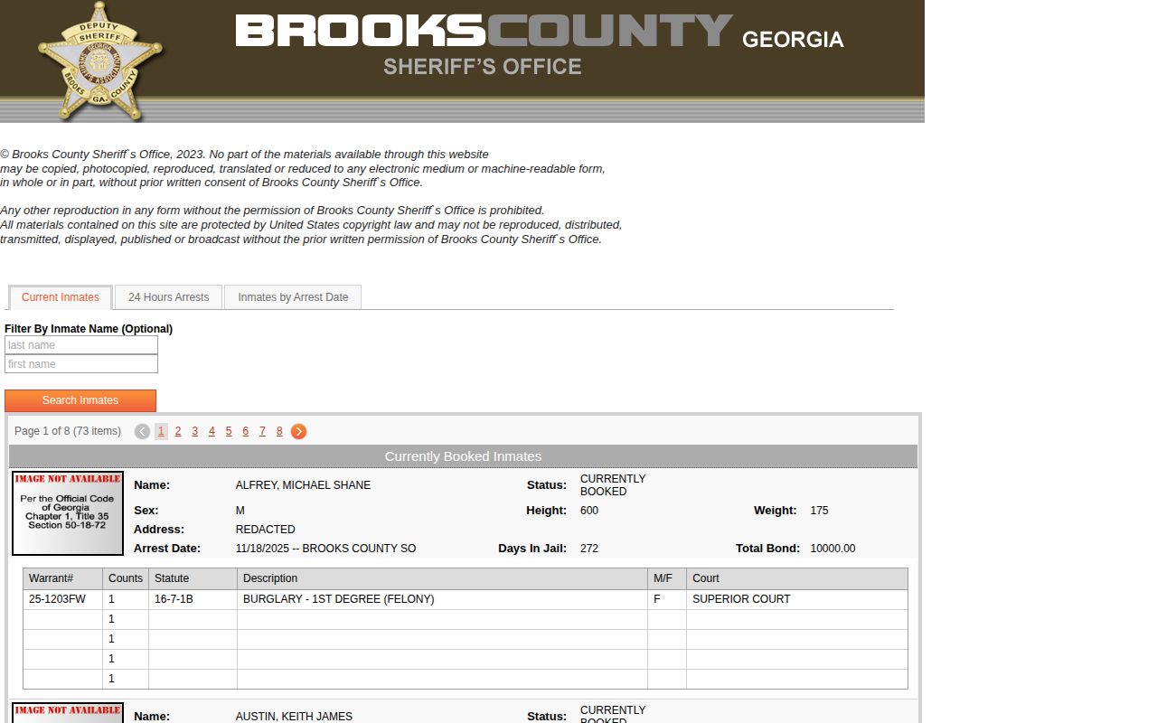 Brooks County Jail current inmate search interface and booking record fields